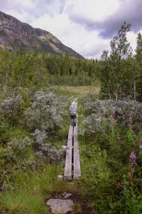 Barn som vandrar på en spång