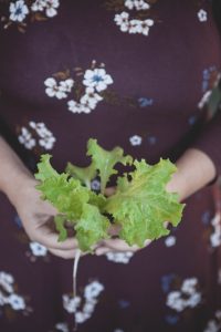 sallat planta i handen på en kvinna